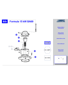 ABAC, (OEM) Genesis, Formula, BA69, 15Kw, Intake Valve Kit, 2901320203