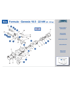 ABAC, (OEM) Genesis, Formula, BA69, 15-18.5-22Kw, Intake Valve Kit, 8973035343